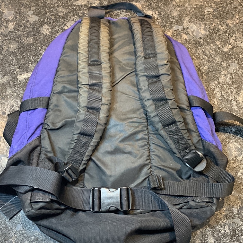 The North Face Purple and Black Backpack - Picture 6 of 11